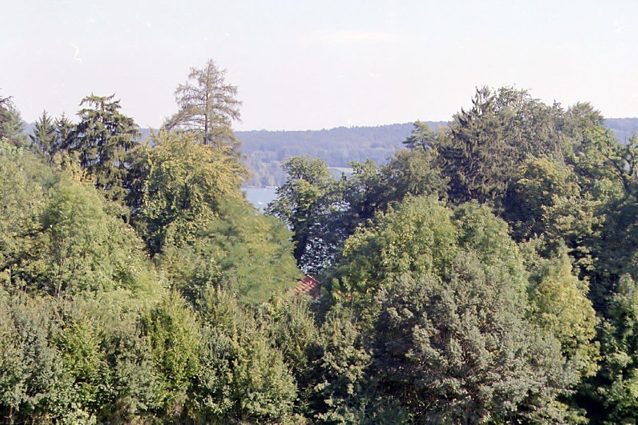 Blick