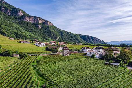 Traumhafter Bauernhof mit Weinbergen und historischem Turm im sonnigen Südtirol