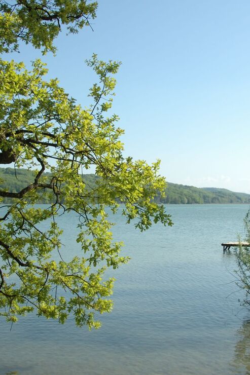 Seeblick