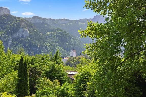 Blick auf Schloss Hohenaschau