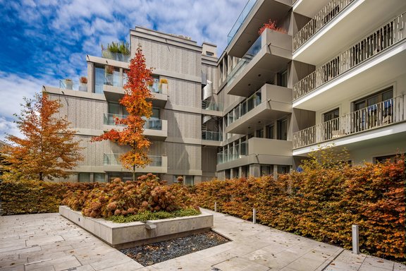 Beautifully landscaped patio garden