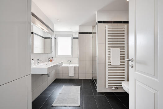 Modern daylight bathroom