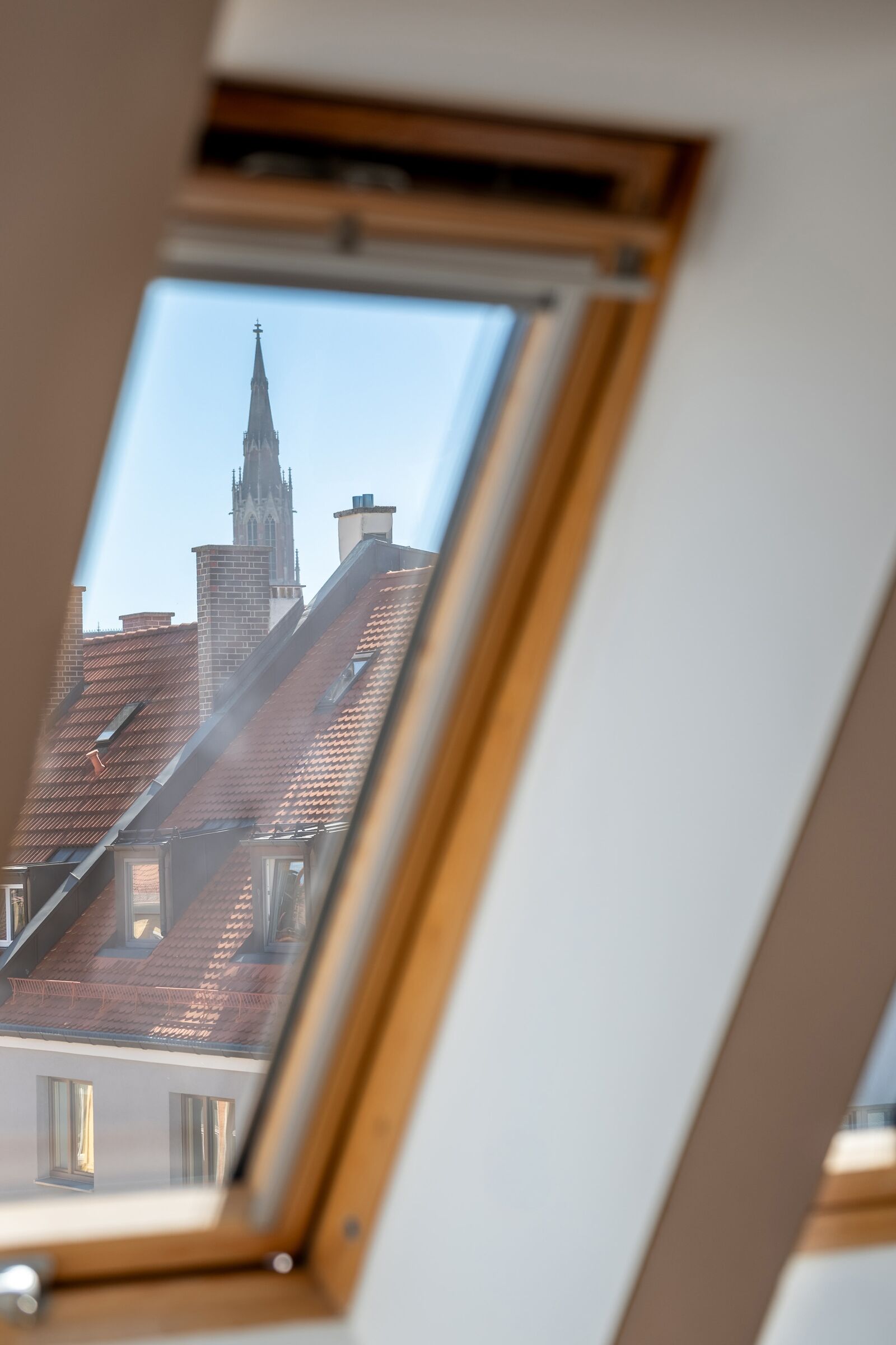 Blick über die Dächer der Au
