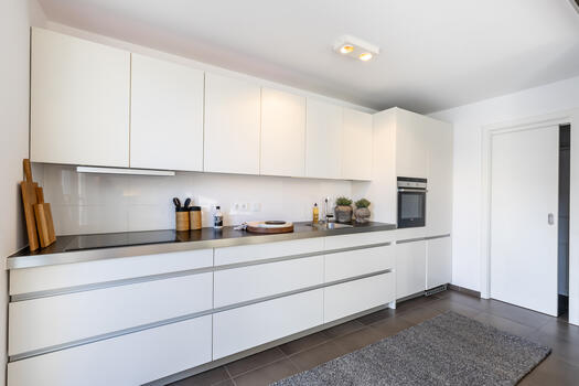 Purist kitchen with utility room