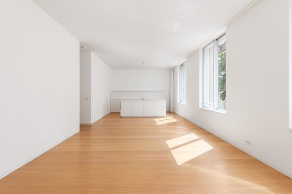 Living/dining/cooking area