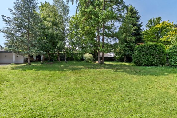 Grünes Freiluft-Refugium