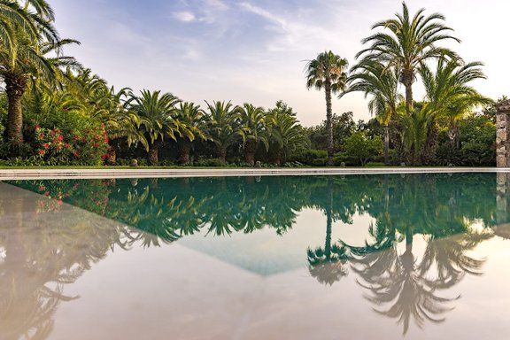 Pool mit tropischer Kulisse