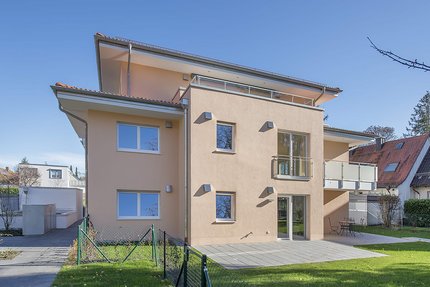 View from the garden