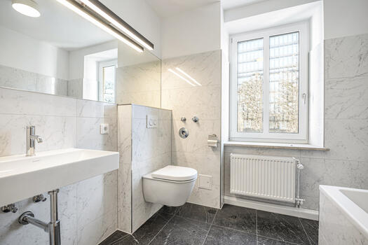 Stylish daylight bathroom