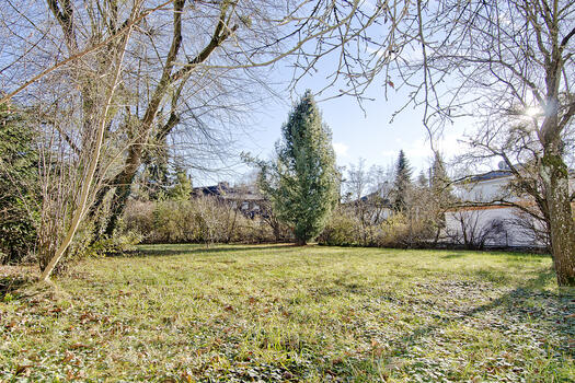 Extensive garden