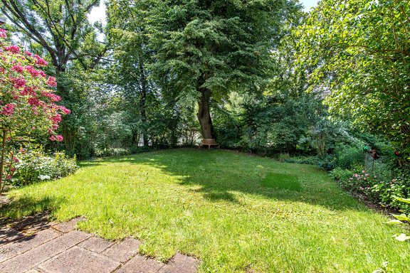 Eingewachsener Garten