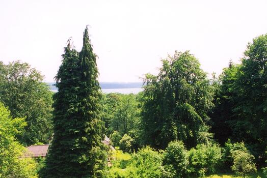 View of the lake