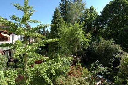 View into the gardens
