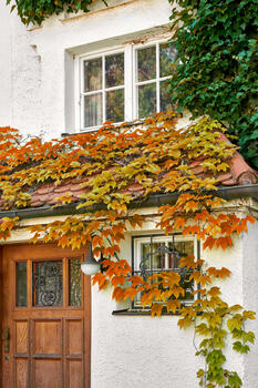 Original erhaltene Haustür