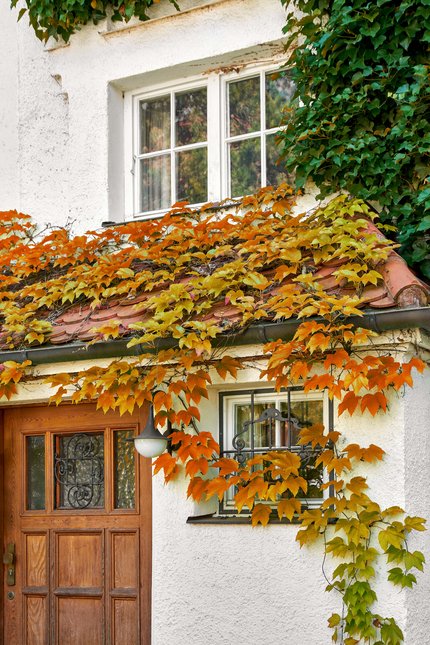 Original erhaltene Haustür