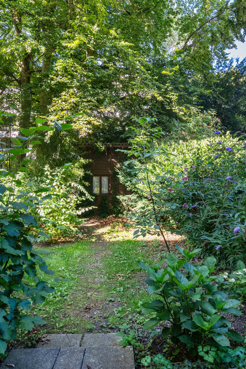 Eingewachsener Garten