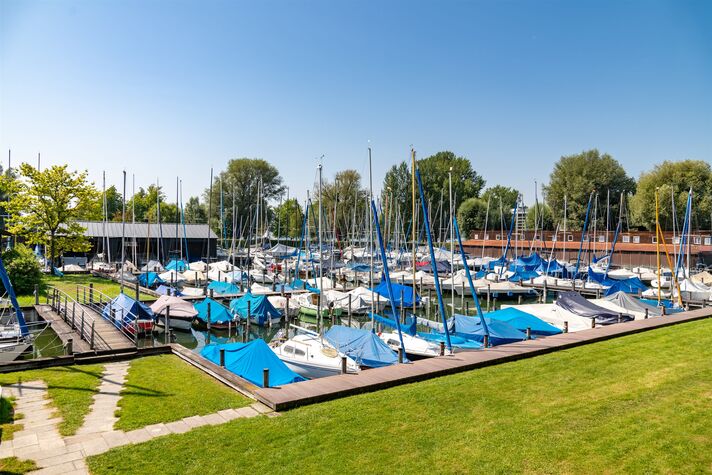 Dicht belegtes Hafenbecken mit abgedeckten Segel- und Motorbooten, davor eine Liegewiese unter alten Bäumen.