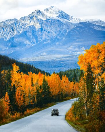 A single car drives along an empty road through trees with golden-yellow foliage, with a snow-covered mountain peak behind.