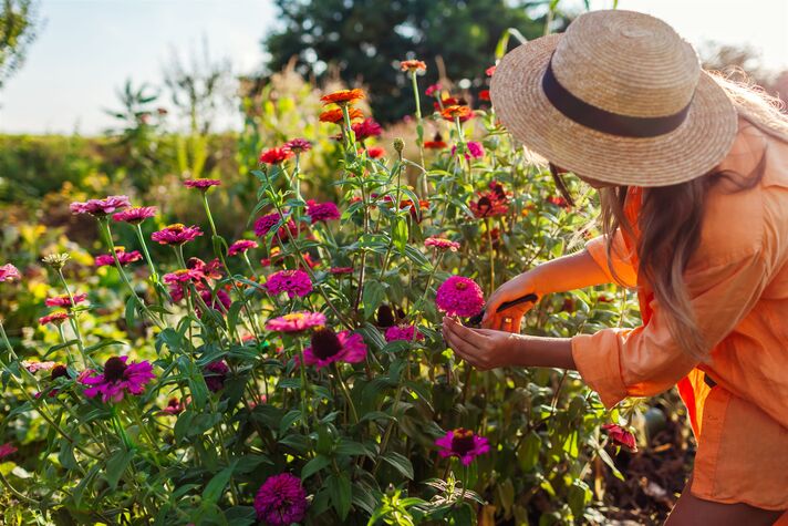 A woman in a straw hat reaches into a densely flowering meadow of pink, red and orange blooms.