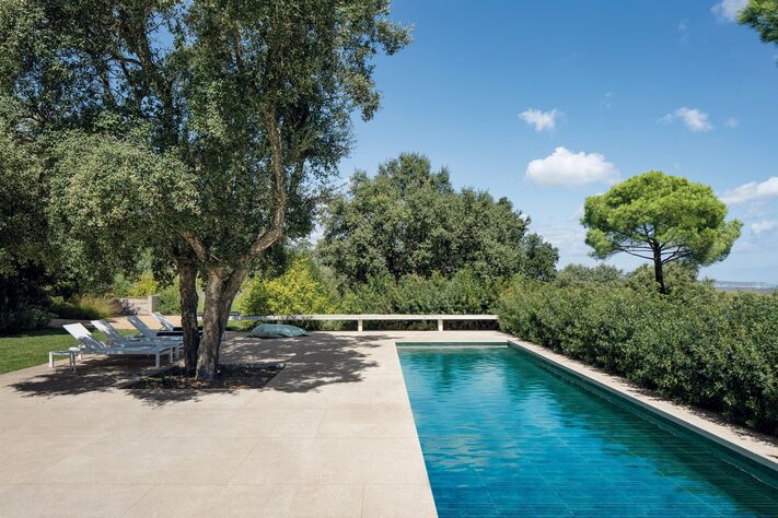 Pool mit hellem großformatigem Plattenbelag, davor Sonnenliegen im Schatten eines alten Olivenbaums.