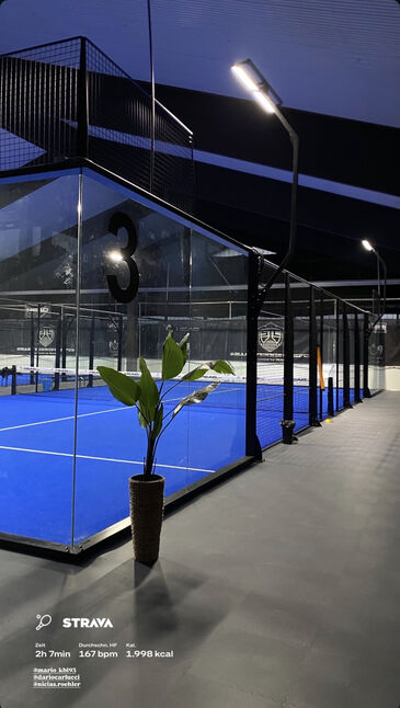 Reihe von Padel-Courts mit blauem Boden hinter Glaswänden und schwarzen Stahlrahmen in einer modernen Halle, im Vordergrund eine Pflanze im Kübel.