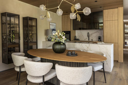 Show apartment: open kitchen