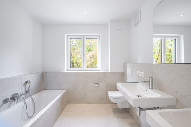 Modern daylight bathroom