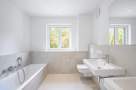 Modern daylight bathroom