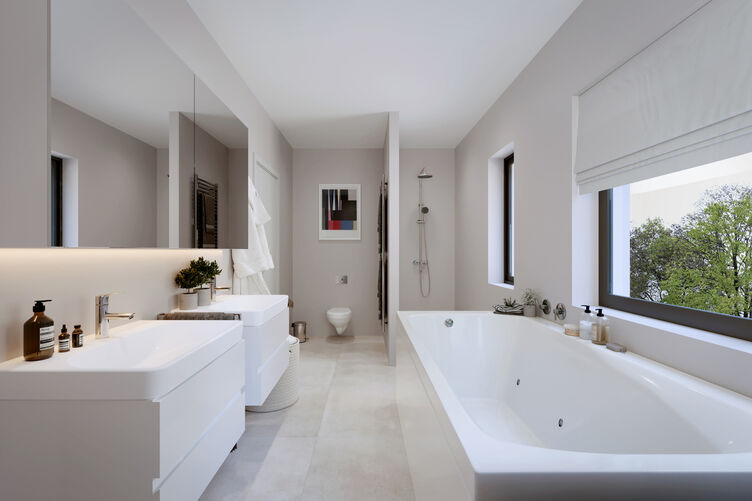 Visualization bathroom