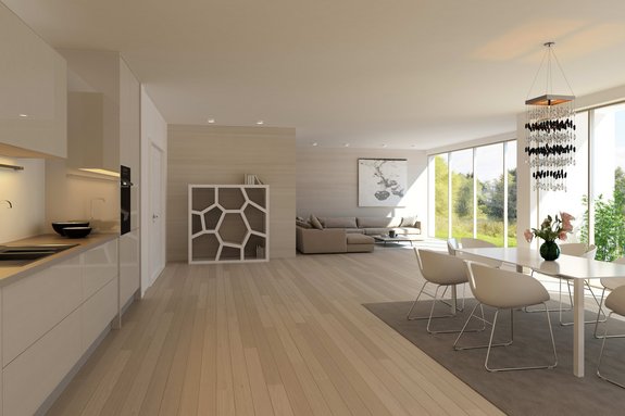 Open kitchen with living / dining area