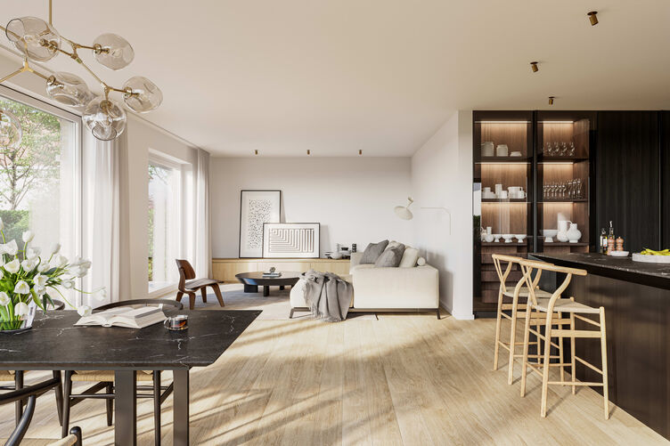 Living and dining area